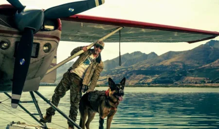 El corazón de la bestia: el perro de Brad Pitt que pasó del rescate en montaña al cine