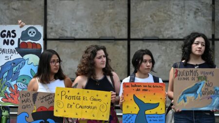 Caso Amigo LNG: ¿por qué México cedió 36 hectáreas del Golfo de California para un proyecto de gas de EE UU?