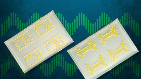 Científicos convierten bacterias en transistores y crean circuitos vivos