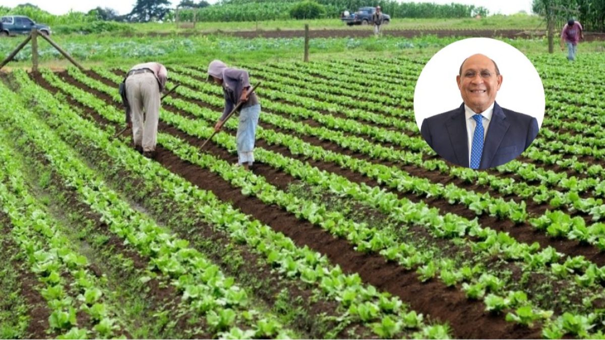 Santos Badía: la agricultura del futuro necesitará más tecnología, especialistas y mejores salarios