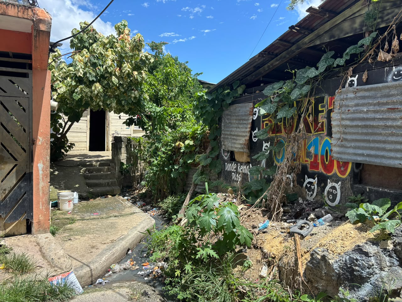 Moradores de Los Girasoles 2 temen nuevas inundaciones ante lluvias