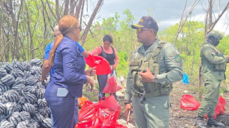 Medio Ambiente incauta más de 400 fundas de carbón tras denuncia de parceleros de El Gato–La Noria