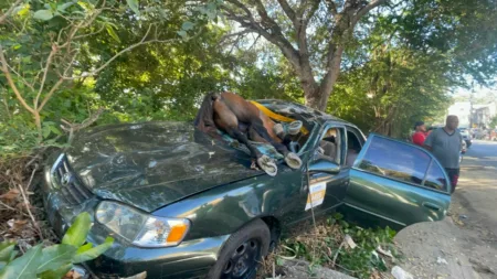 Caballo provoca accidente y termina dentro de un carro en Santiago