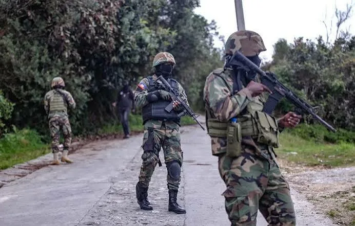 Ordenan al Ejército de El Salvador a apoyar a Fuerza de Supresión de Pandillas en Haití