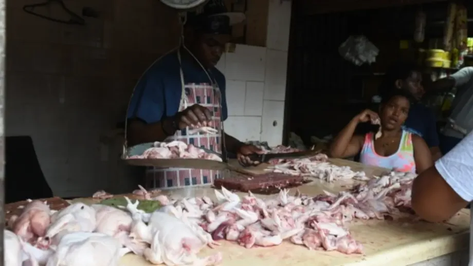 Productores se quejan por bajos precios carne de pollo