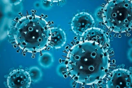 El mapa del virus Shamonda en España: Sanidad rastrea las granjas tras la alerta en Francia