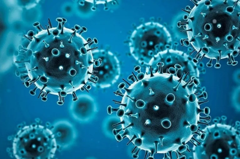El mapa del virus Shamonda en España: Sanidad rastrea las granjas tras la alerta en Francia