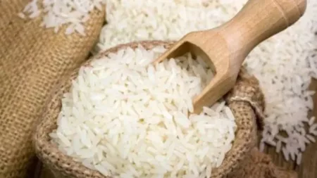 ¿Cuáles fueron las propuestas del Gobierno para proteger la producción de arroz en RD?