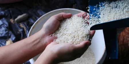 Rivero asegura Gobierno adoptará medidas para proteger productores de arroz Rivero asegura Gobierno adoptará medidas para proteger productores de arroz