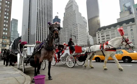 Nueva York prohibirá carruajes tirados por caballos en 2028