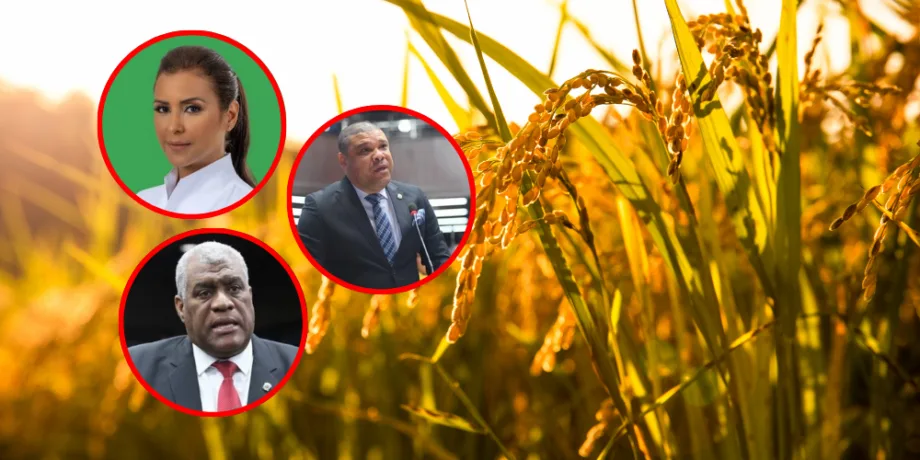 Diputados advierten riesgo para productores tras eliminación de protección al arroz