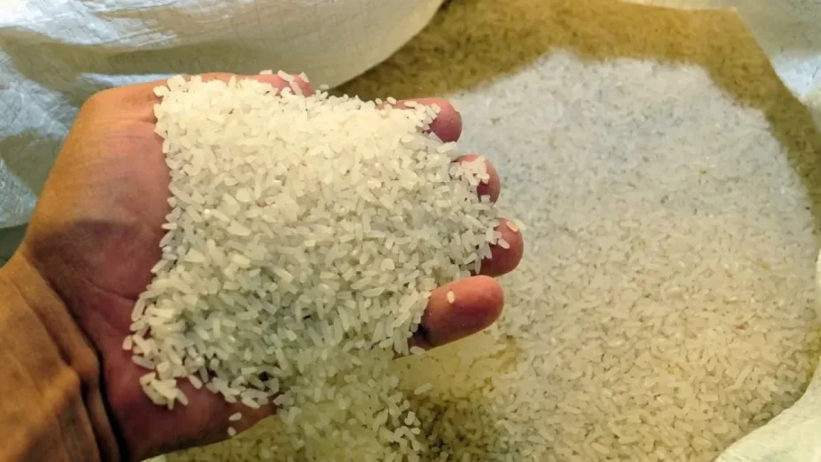 A 20 años del DR-CAFTA, ¿por qué no está preparado el arroz dominicano para competir?
