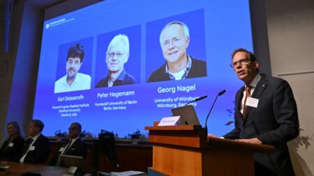 Qué es la optogenética: la técnica para controlar neuronas con luz que ganó el Nobel de Medicina 2026