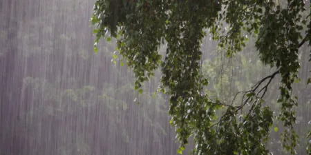 Intensas lluvias provocan inundaciones en Acapulco 1
