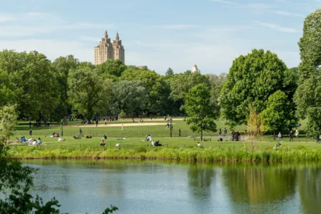 Policía de Nueva York busca a hombre acusado de agredir sexualmente a una mujer en Central Park