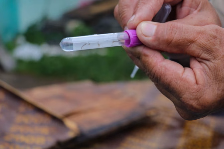 Dengue en Panamá supera los 10,400 casos tras sumar 740 registros adicionales en una semana