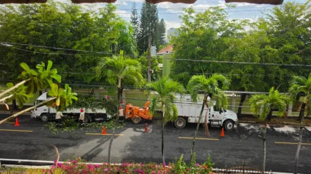 Residentes de Los Cacicazgos denuncian ruido y polvo por trituración de ramas