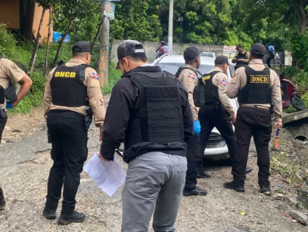 DNCD ocupa más de 75 mil gramos de drogas en operativos