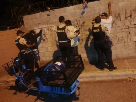 DNCD Peravia: decomisan 7,300 gramos de drogas