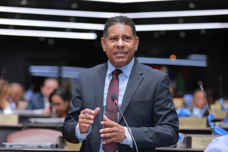 Diputados descartan incursiones militares dominicanas en Haití ante citación de embajador
