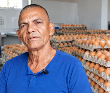 Productor avícola afirma exportaciones huevos hacia Cuba impulsan expansión del sector