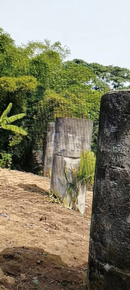 Vestigios del antiguo ferrocarril del Cibao sobreviven en comunidades de Moca Vestigios del antiguo ferrocarril del Cibao sobreviven en comunidades de Moca