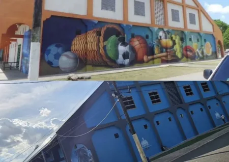 Califican de "afrenta descabellada" que borren mural tradicional del polideportivo Moca 85