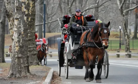 Nueva York aprueba ley que prohibirá los carruajes de caballos a partir de junio de 2028