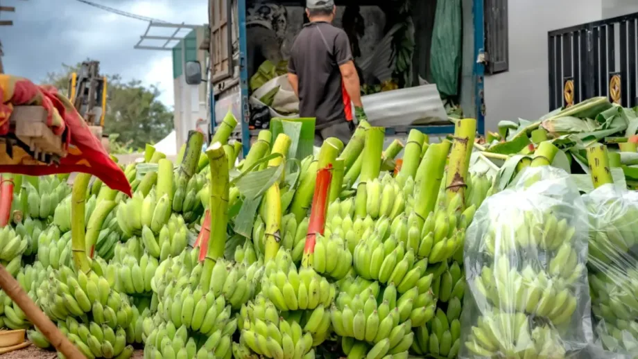 Alza de combustibles preocupa al transporte de alimentos